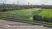 "Distrutti dal verde: così si stanno mangiando l'Italia"