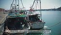 Follie verdi: pesca addio, in mare arrivano le pale eoliche