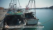 Follie verdi: pesca addio, in mare arrivano le pale eoliche