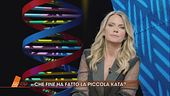 Una trappola per Kata