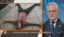 Pierina Paganelli: gli alibi di Louis, Manuela e Loris Bianchi