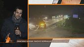 Saman Abbas: nuovo sopralluogo a Novellara