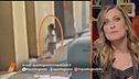 La piccola Kata: gli aggiornamenti