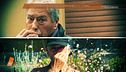 Il giallo di Lilly: lo strapiombo e il corpo