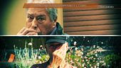 Il giallo di Lilly: lo strapiombo e il corpo