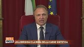 Lollobrigida e la moda della carne sintetica