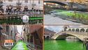 Ambientalisti in azione, tingono di verde le acque
