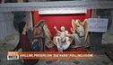 Avellino, presepe con "due Marie" per l'inclusione