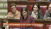 Saluti romani, la polemica sbarca in parlamento