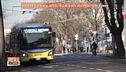 Modena violenta, accoltellato sul bus per pochi euro