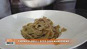 Farina di grilli, ecco cosa mangeremo