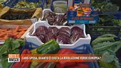 Caro-spesa, quanto ci costa la rivoluzione verde europea?