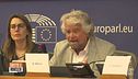 Il ritorno di Grillo: "Introdurre il reddito universale"