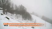 Ad aprile freddo record, clima impazzito?