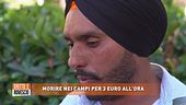 Morire nei campi per 3 euro all'ora