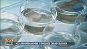Nel laboratorio dove si produce carne coltivata