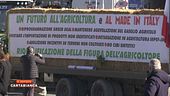 Protesta dei trattori, le voci degli agricoltori
