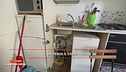 Alla ricerca di una casa in affitto