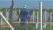 Caporalato e lavoro nei campi
