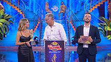 I Darwin di Donatello