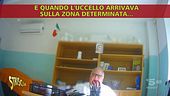 Il pranoradio guaritore perde il pelo, ma non il vizio