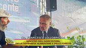 Palamiti e reti derivanti, quando la pesca diventa abusiva
