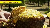 A Balestrate il panettone tropicale di Sicilia