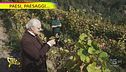 La botte perpetua del vino "Zero Infinito"