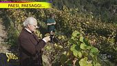 La botte perpetua del vino "Zero Infinito"