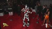 La carica di Shania Twain conquista "Moda caustica"