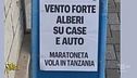 Non utilizzare formiche all'interno delle macchinette