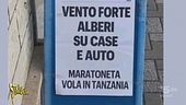 Non utilizzare formiche all'interno delle macchinette