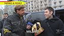 Tapiro "ragno" per Fedez: la ragnatela di X Factor si infittisce