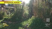 "Speranza verde" e il giardino del sole di Sarentino
