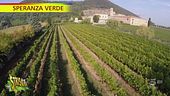 "Speranza Verde", metodo classico all'Abbazia di Praglia