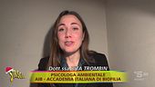 "Ambiente Ciovani" e i numeri del verde in città