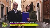 Elly Schlein sta con gli scioperanti (anche se sbagliano i colori)