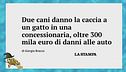 Cosa fanno cani e gatti in una concessionaria? Lo sa Bracco