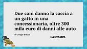 Cosa fanno cani e gatti in una concessionaria? Lo sa Bracco