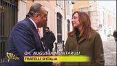 Vespone, il bagno di Giorgia Meloni e le droghe di Elon Musk