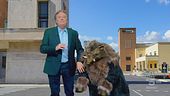 Sabaudia, Enzino e il cinghiale rapito