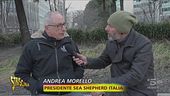 Pesca illegale, atti intimidatori ai volontari di Sea Shepherd