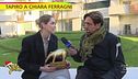 Chiara Ferragni e Fedez, i Tapiri d'oro della (ex?) coppia
