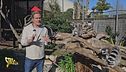 Biglietti gratis per lo ZooSafari di Fasano? Attenti alla truffa!