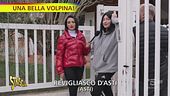 Cani di lusso: l'allevatrice dei Vip e il controverso animalista