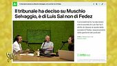 L'altra separazione di Fedez: Muschio selvaggio a Luis Sal