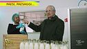 Davide Rampello e il latte Guernsey di Maleo (Lodi)