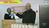 Davide Rampello e il latte Guernsey di Maleo (Lodi)
