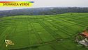 "Speranza Verde", come si avvia un'azienda agricola