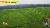 "Speranza Verde", come si avvia un'azienda agricola